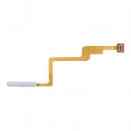 FING11TPROS