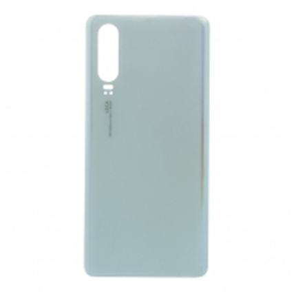 BACKP30PW
