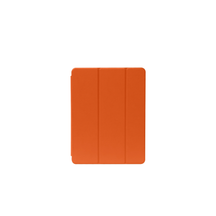CSTIPADPRO11-2024A