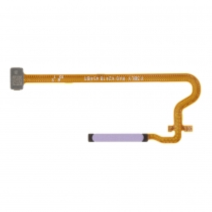 FINGOPA805GMP