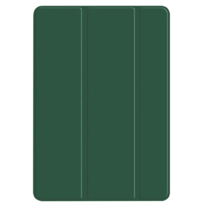 CSTIPADPRO11-2024V