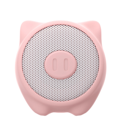 WSPIG