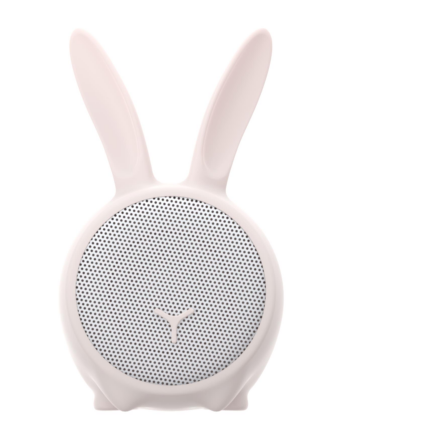 WSRABBIT